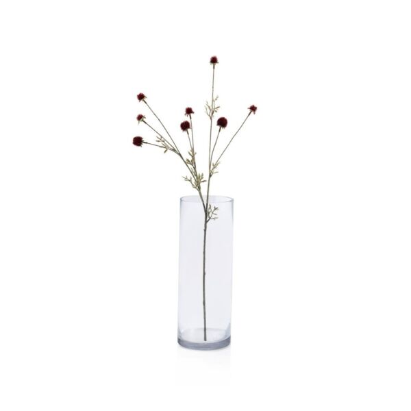 baytonia_main product photo