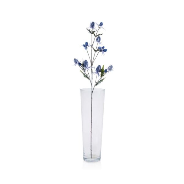 baytonia_main product photo