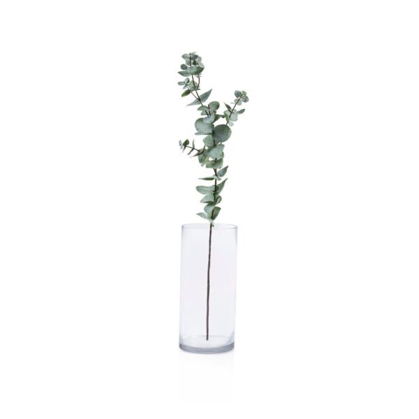 baytonia_main product photo