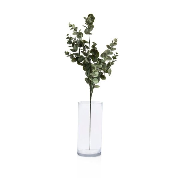 baytonia_main product photo