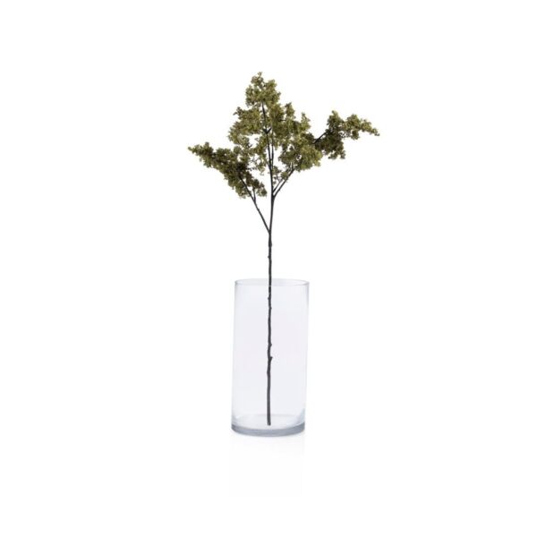 baytonia_main product photo