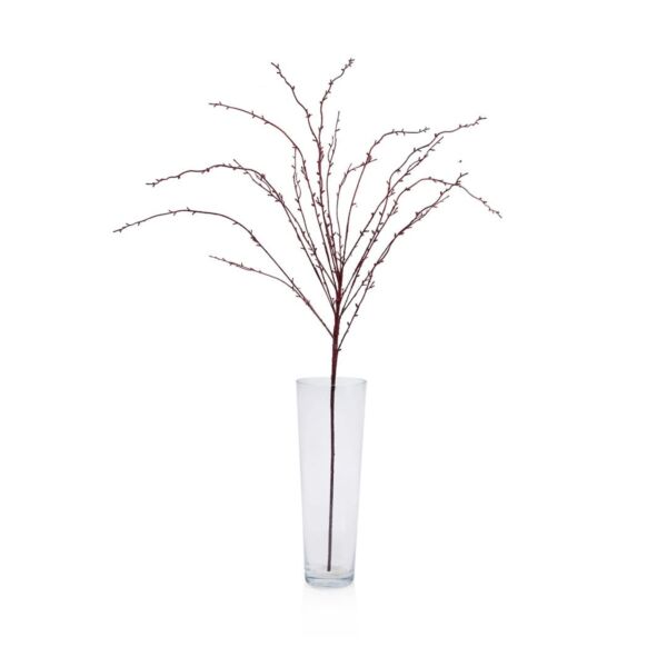baytonia_main product photo