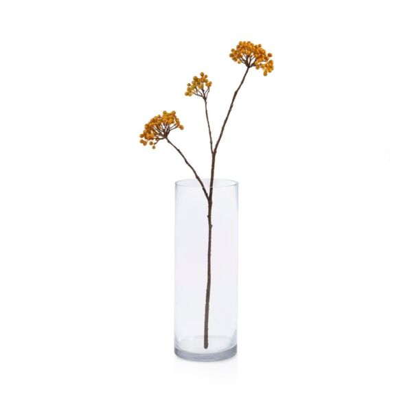 baytonia_main product photo