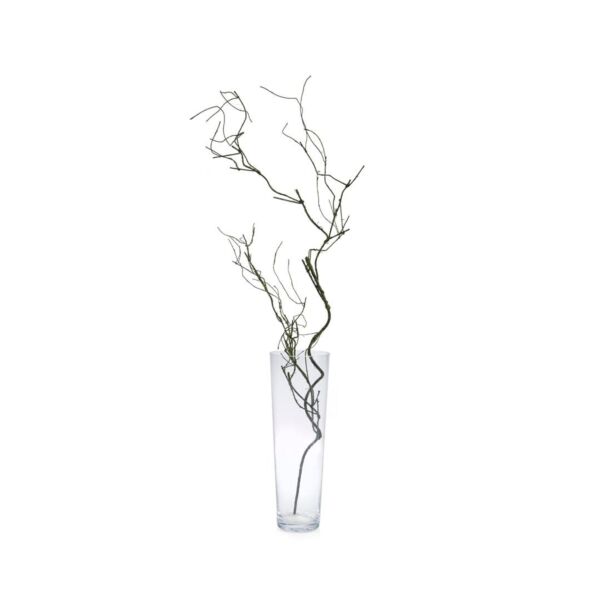 baytonia_main product photo