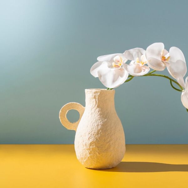 baytonia_main product photo