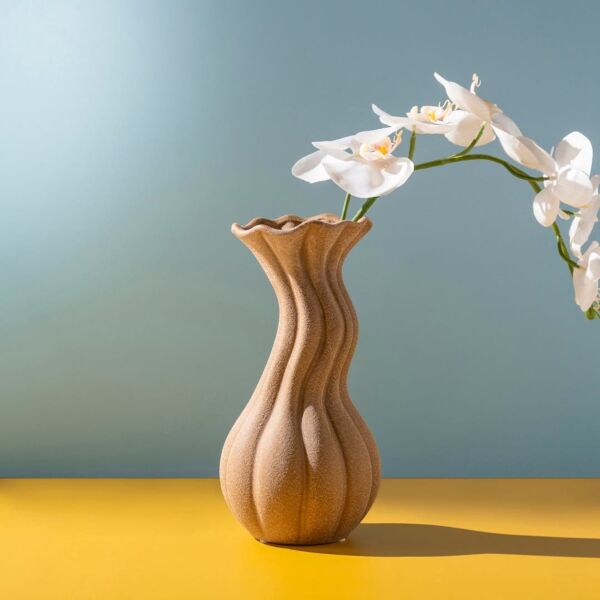 baytonia_main product photo