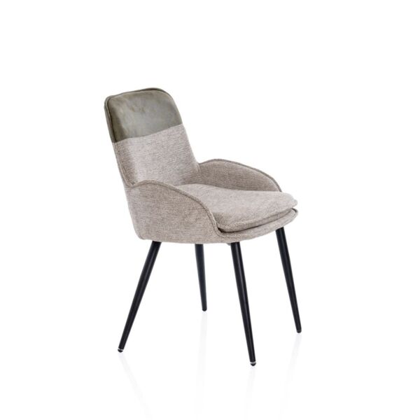 baytonia_main product photo