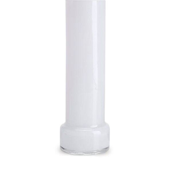 baytonia_main product photo