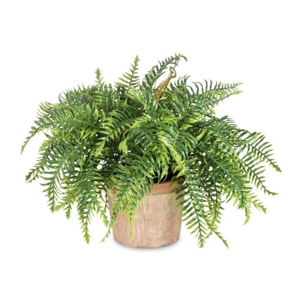 baytonia_main product photo