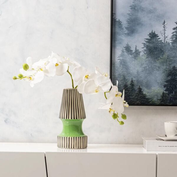 baytonia_main product photo