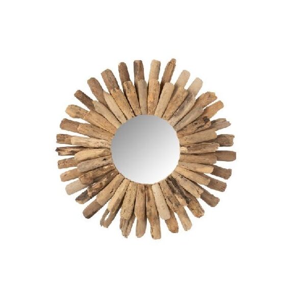baytonia_main product photo