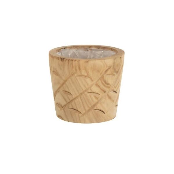 baytonia_main product photo