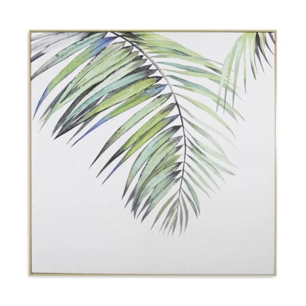 baytonia_main product photo
