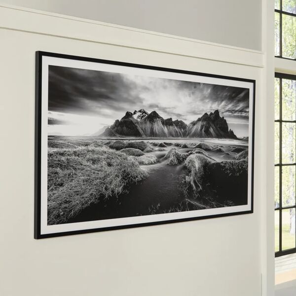 baytonia_main product photo