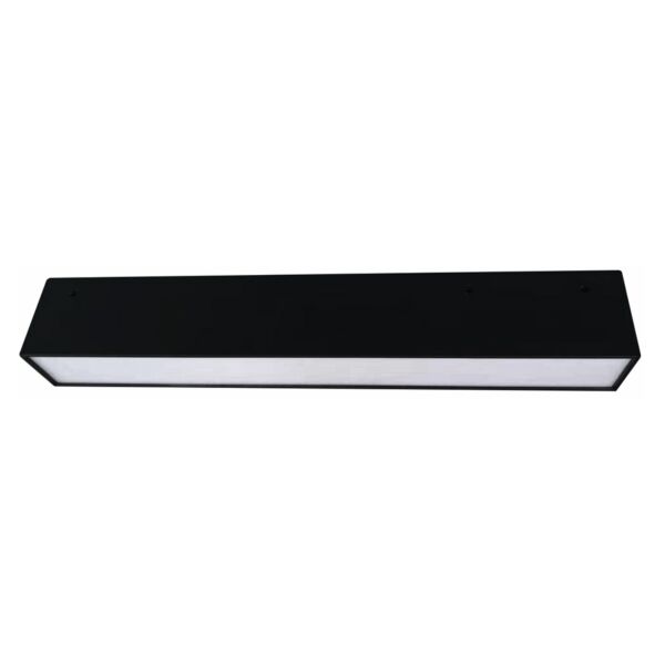 baytonia_main product photo