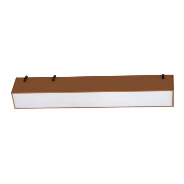 baytonia_main product photo