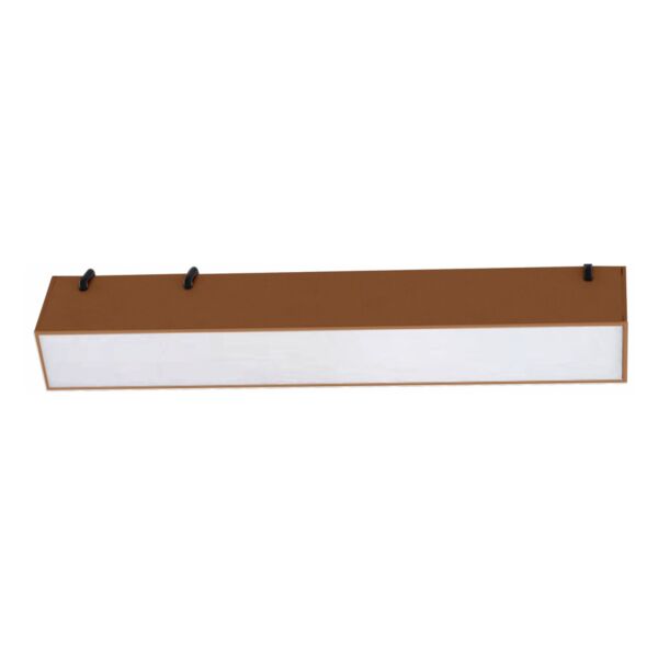 baytonia_main product photo