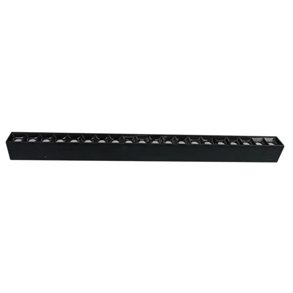 baytonia_main product photo