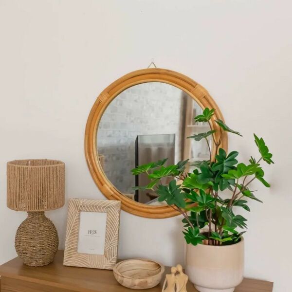 baytonia_main product photo