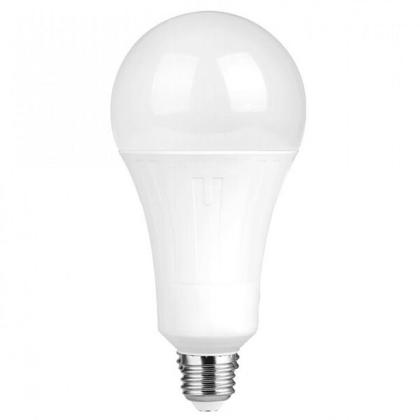 baytonia_main product photo