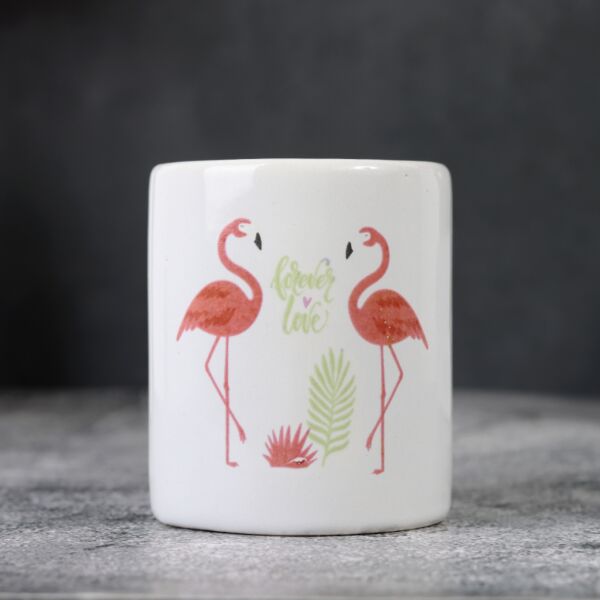 baytonia_main product photo