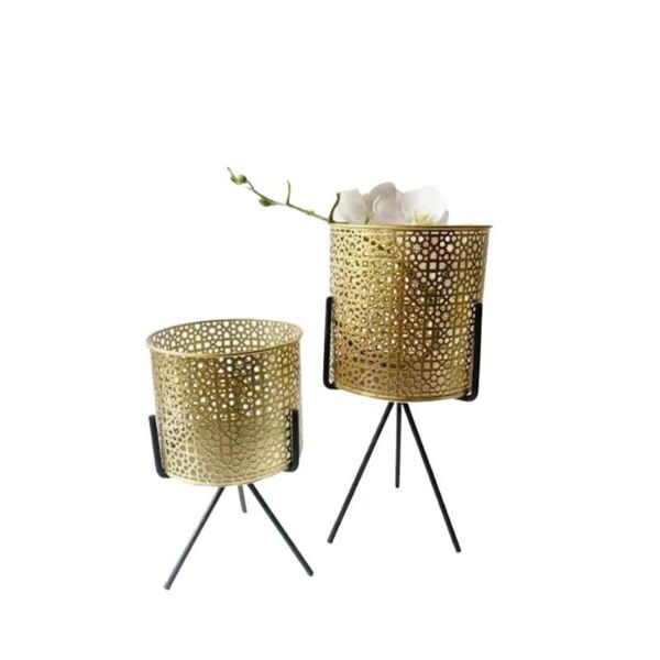 baytonia_main product photo