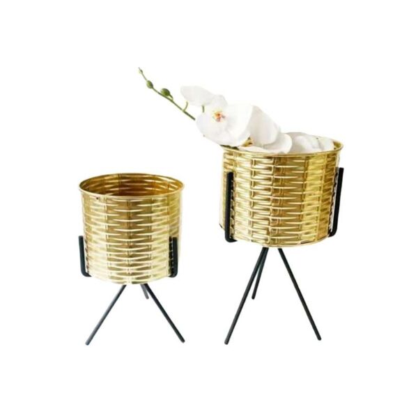 baytonia_main product photo