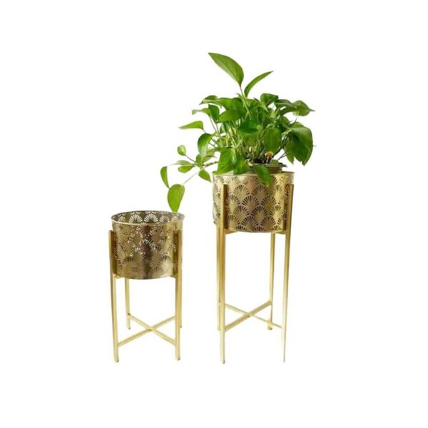 baytonia_main product photo