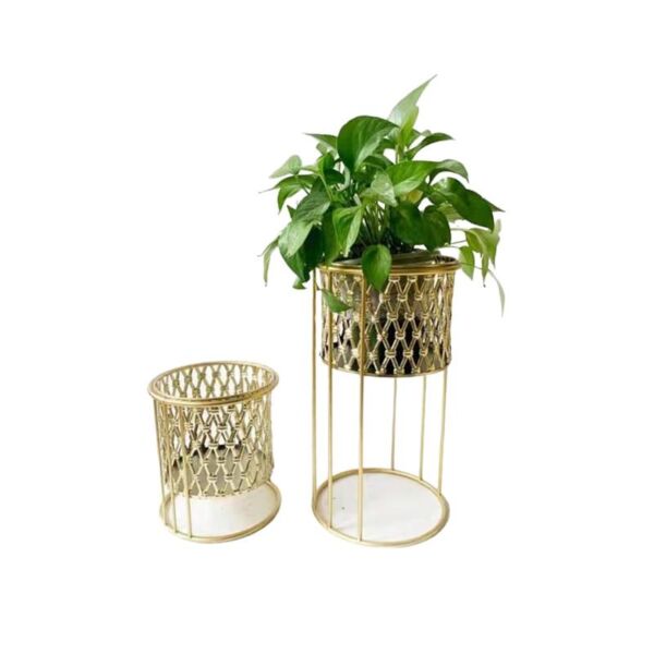 baytonia_main product photo