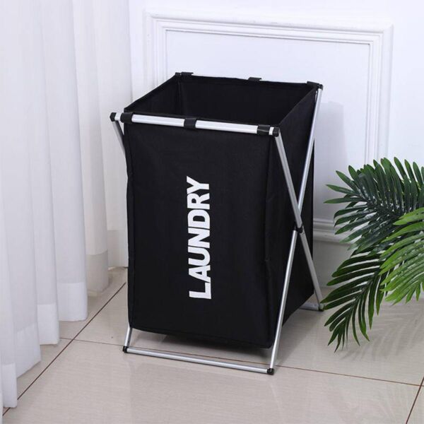 baytonia_main product photo