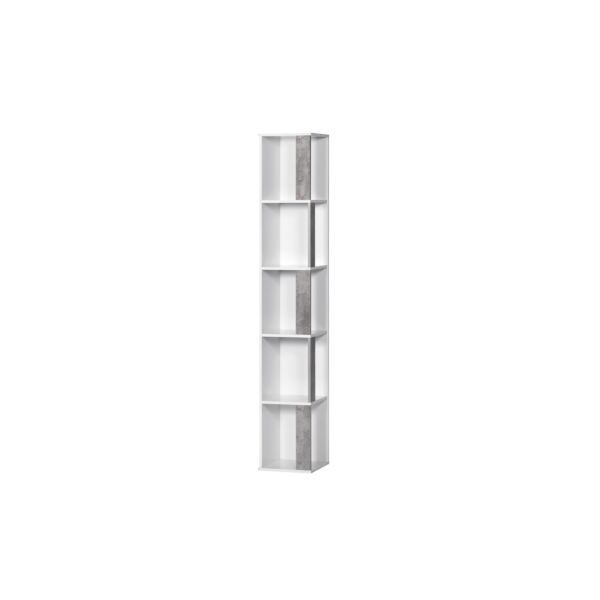 baytonia_main product photo