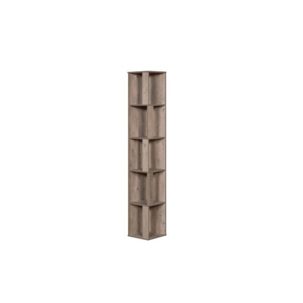 baytonia_main product photo