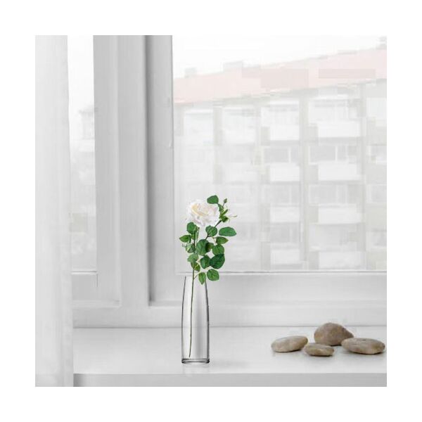 baytonia_main product photo