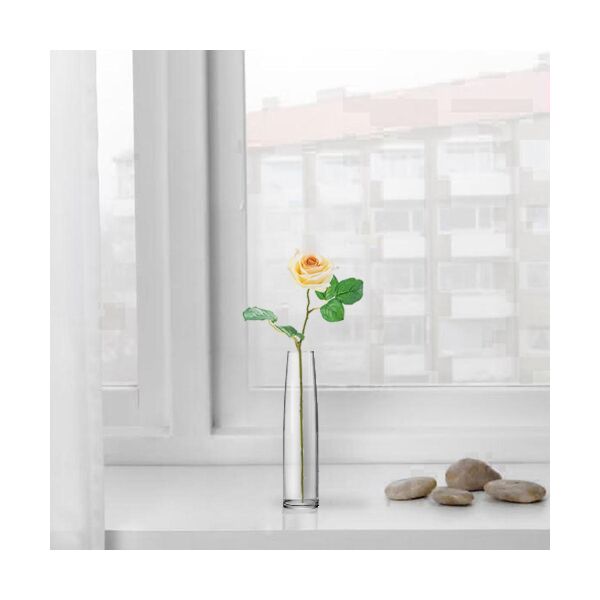 baytonia_main product photo