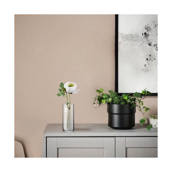 baytonia_main product photo