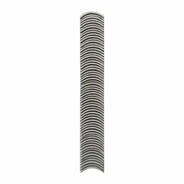 baytonia_main product photo