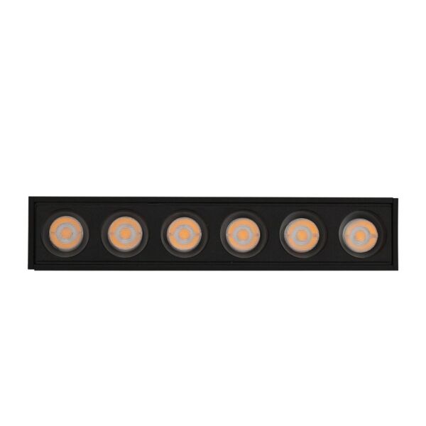 baytonia_main product photo