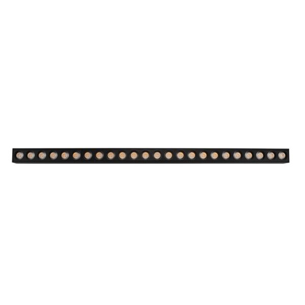 baytonia_main product photo