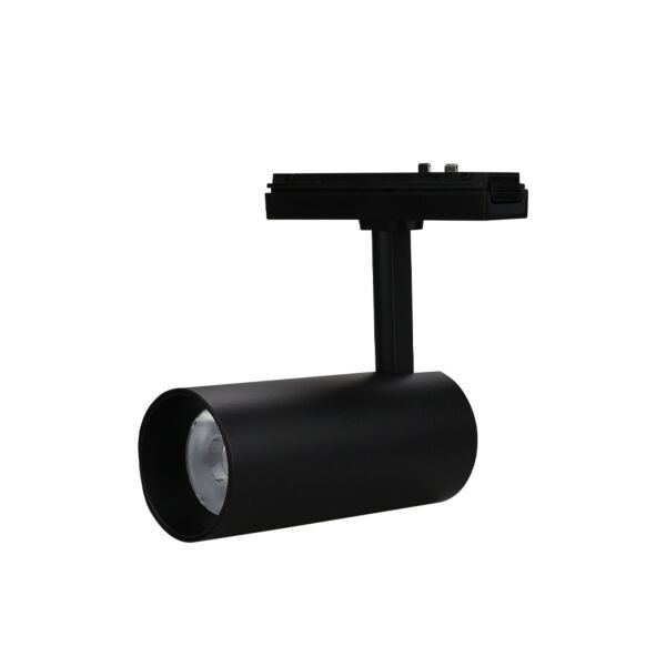 baytonia_main product photo