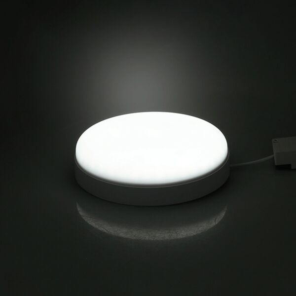 baytonia_main product photo
