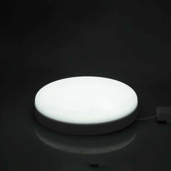 baytonia_main product photo
