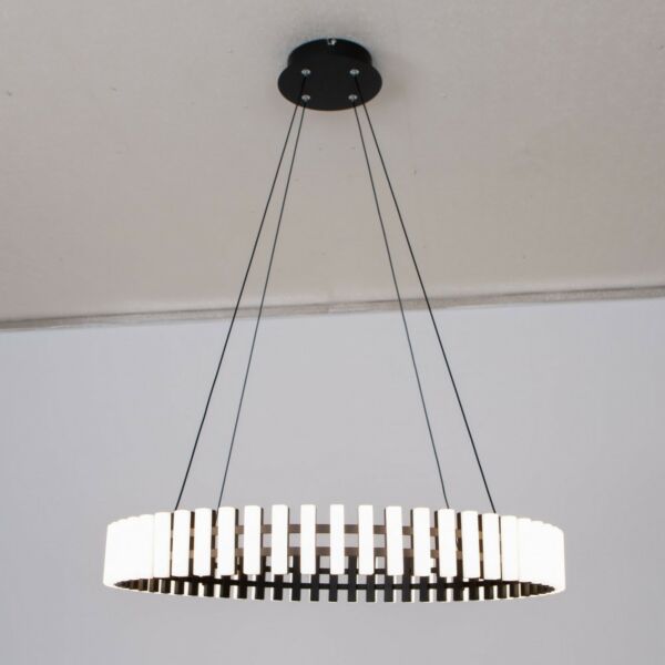 baytonia_main product photo