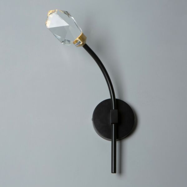 baytonia_main product photo