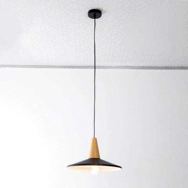 baytonia_main product photo