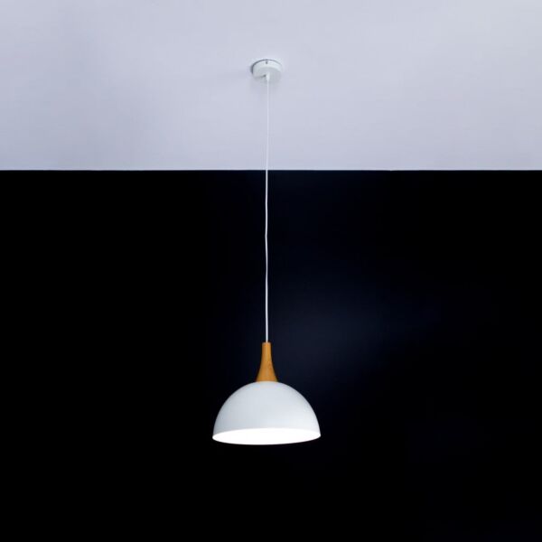 baytonia_main product photo