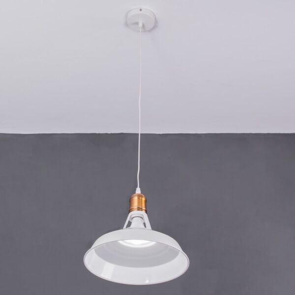 baytonia_main product photo