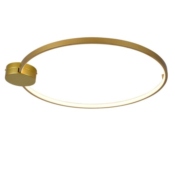 baytonia_main product photo
