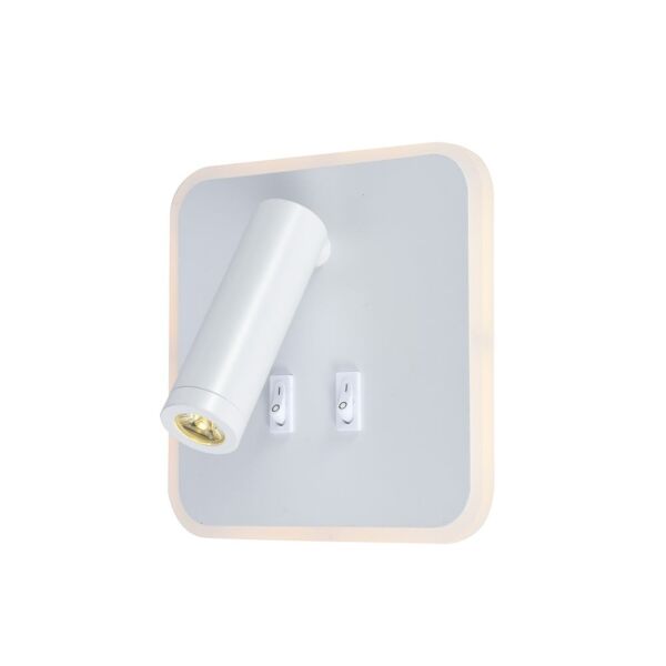 baytonia_main product photo