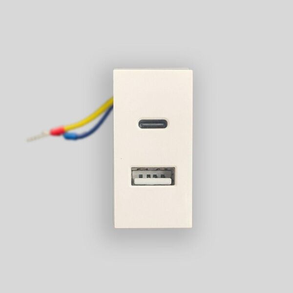 baytonia_main product photo