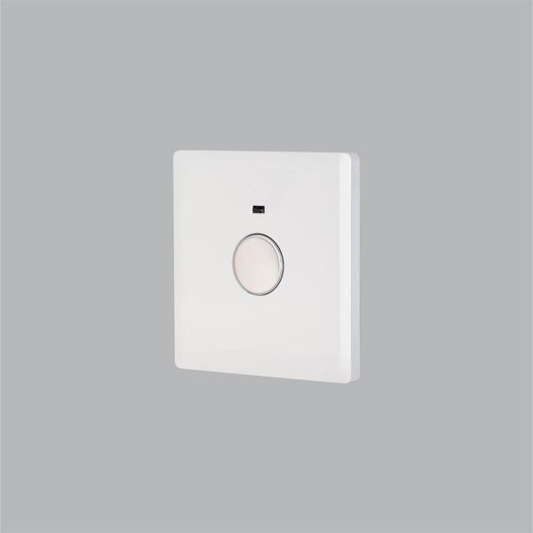baytonia_main product photo